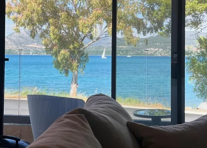 Daire Kla By Project 86 Ike